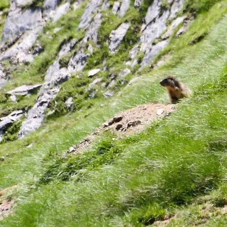 2 Chambres, 6 Pers, Terrasse, Balcon, Parking, Wifi, Pres Et Commerces - Fr-1-401-52 דירה קאוטרט