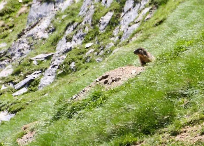 2 Chambres, 6 Pers, Terrasse, Balcon, Parking, Wifi, Pres Et Commerces - Fr-1-401-52 דירה קאוטרט